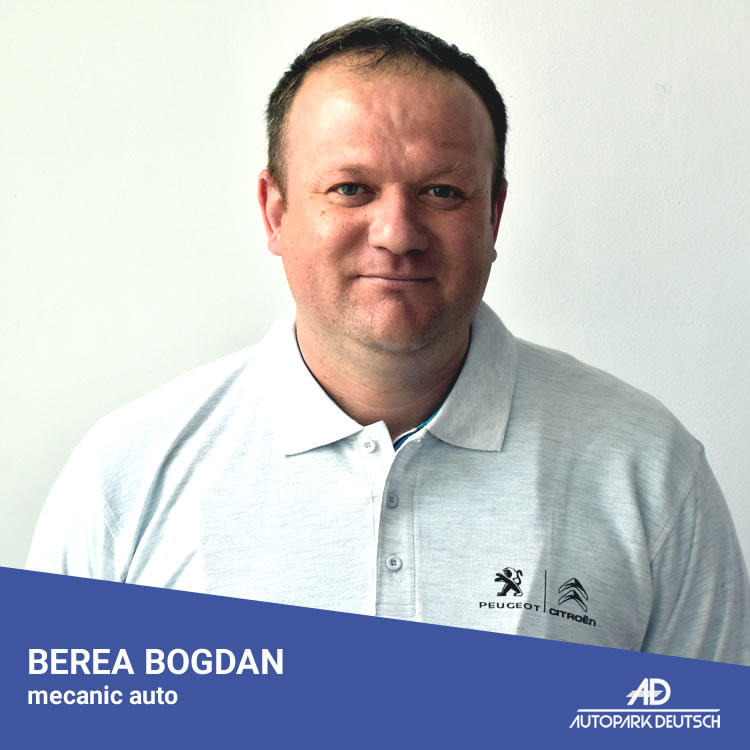 Bogdan Berea
